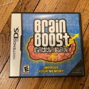 Nintendo DS game